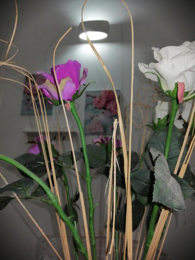 La Casa Di Chiara Διαμέρισμα Taviano  Εξωτερικό φωτογραφία
